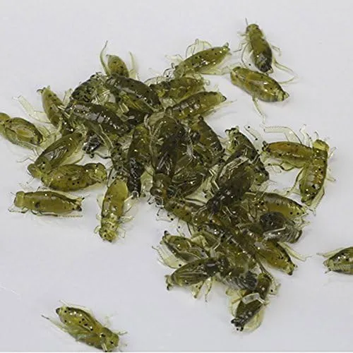 20PCS 0.8g 2cm Simulation Cricket Soft Fishing Lures Pesca Insect Lure Iscas Artificiais Baits Tackle, green