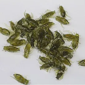 20PCS 0.8g 2cm Simulation Cricket Soft Fishing Lures Pesca Insect Lure Iscas Artificiais Baits Tackle, green